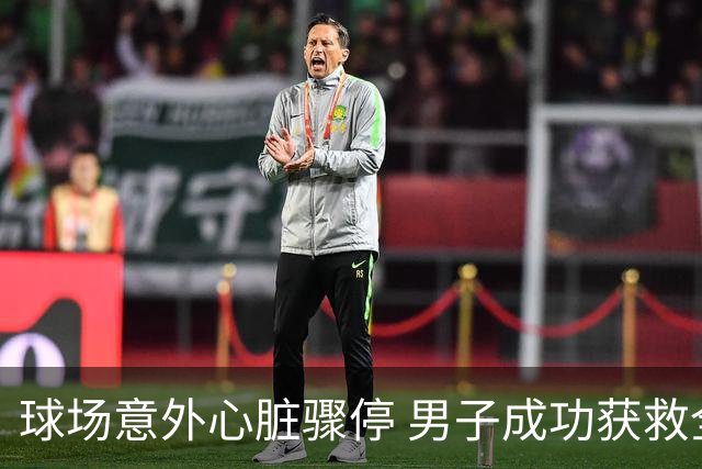 球场意外心脏骤停 男子成功获救全依赖邻队支援